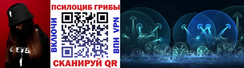 Псилоцибиновые грибы Psilocybe  кракен зеркало  Дзержинский 